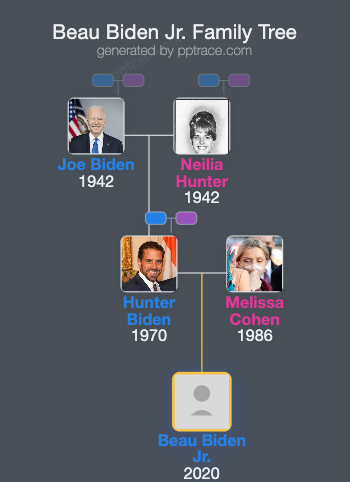 Beau Biden Jr. family tree overview