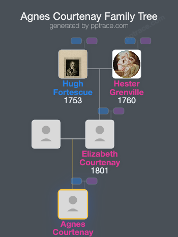 Agnes Courtenay family tree overview