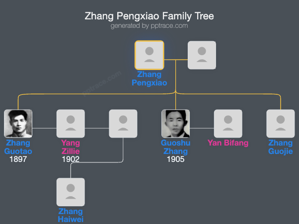 Zhang Pengxiao family tree overview