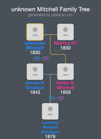 Unknown Mitchell family tree overview