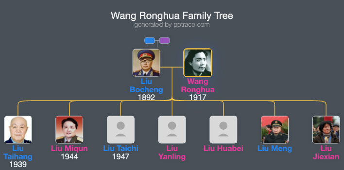 Wang Ronghua family tree overview
