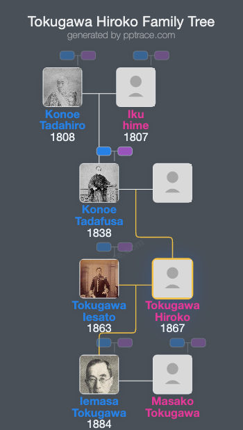 Tokugawa Hiroko family tree overview