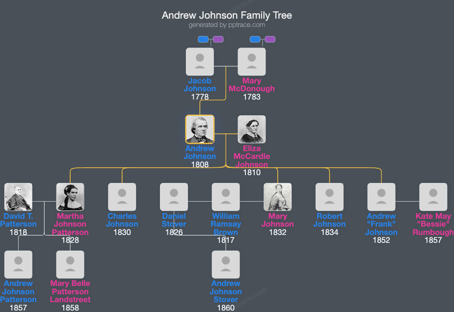 Andrew Johnson family tree overview