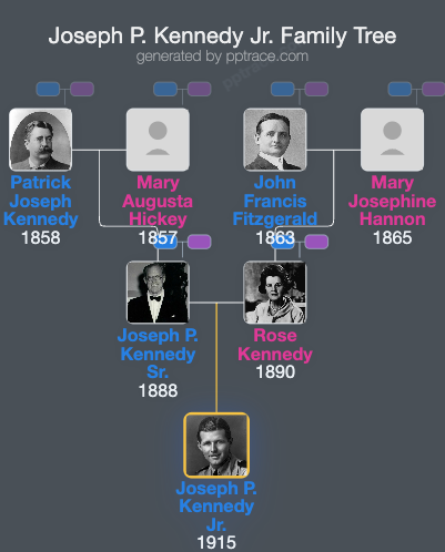 Joseph P. Kennedy Jr. family tree overview