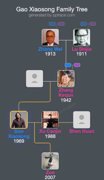 Gao Xiaosong family tree overview