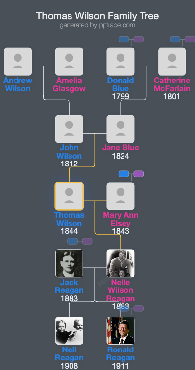 Thomas Wilson family tree overview