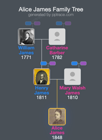 Alice James family tree overview