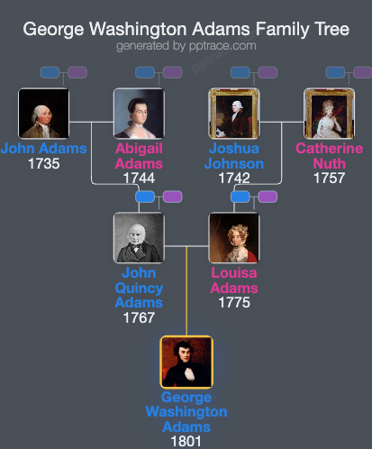 George Washington Adams family tree overview