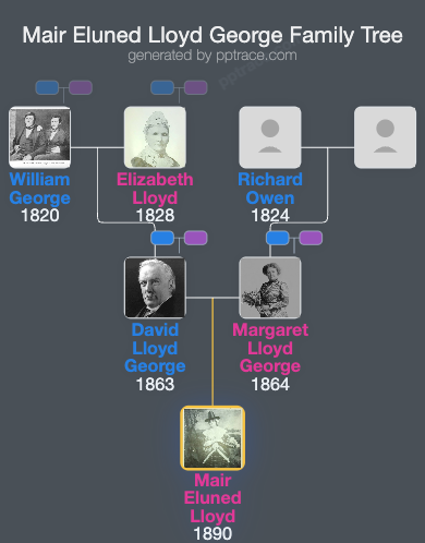 Mair Eluned Lloyd George family tree overview