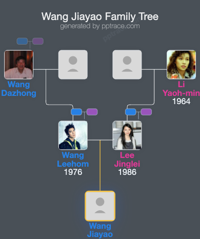 Wang Jiayao family tree overview