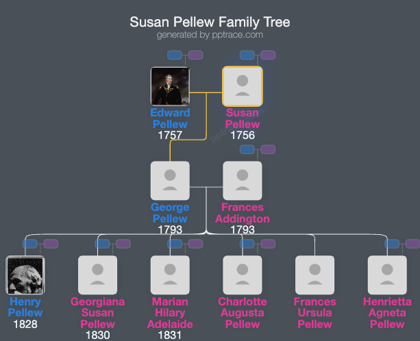 Susan Pellew family tree overview