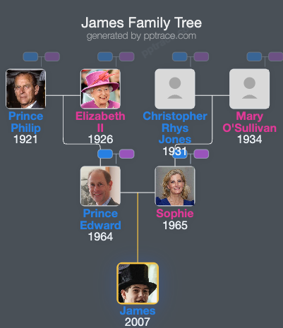 James, Earl Of Wessex family tree overview