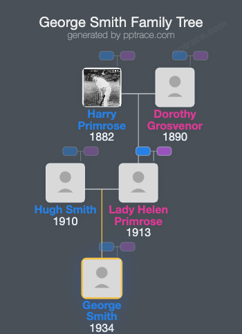 George Smith family tree overview