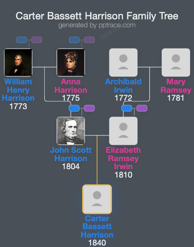 Carter Bassett Harrison family tree overview
