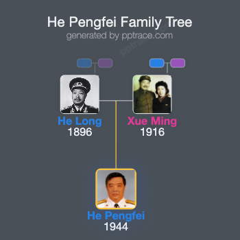 He Pengfei family tree overview