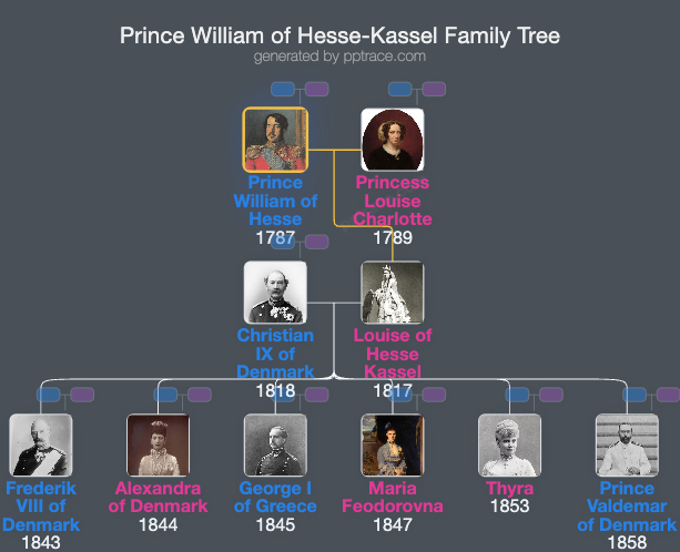 Prince William Of Hesse-Kassel family tree overview