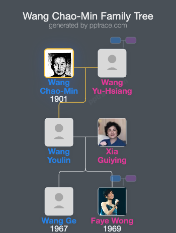 Wang Chao-Min family tree overview