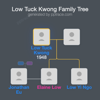 Low Tuck Kwong family tree overview