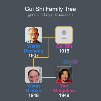 Cui Shi family tree overview