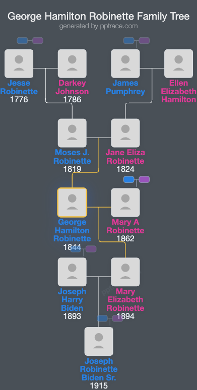 George Hamilton Robinette family tree overview