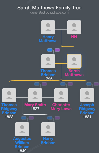 Sarah Matthews family tree overview