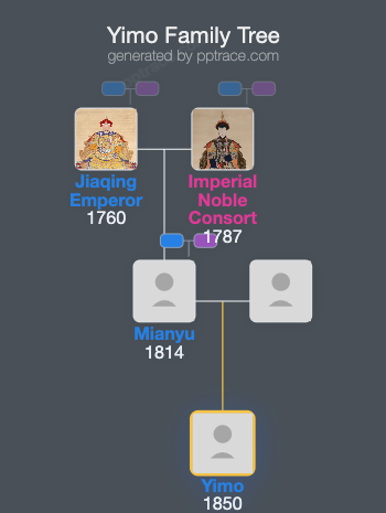 Yimo family tree overview