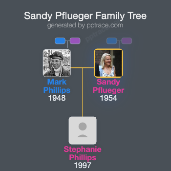 Sandy Pflueger family tree overview