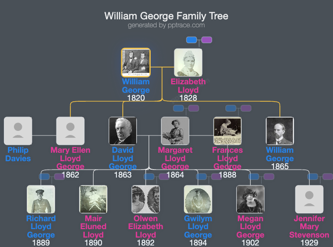 William George family tree overview
