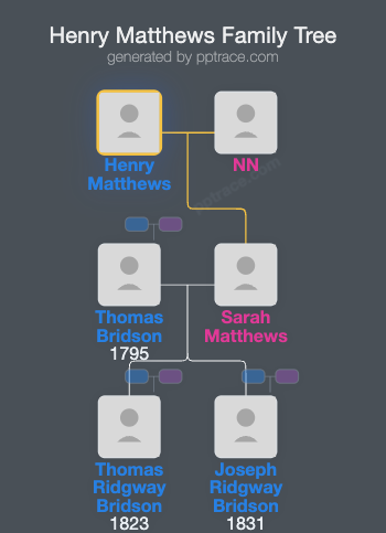 Henry Matthews family tree overview