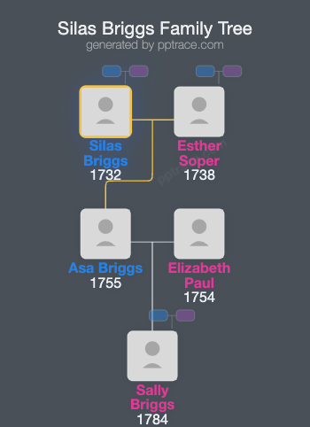 Silas Briggs family tree overview