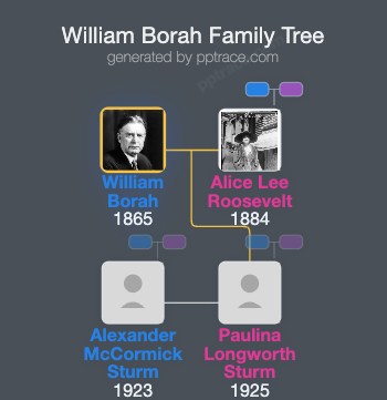 William Borah family tree overview