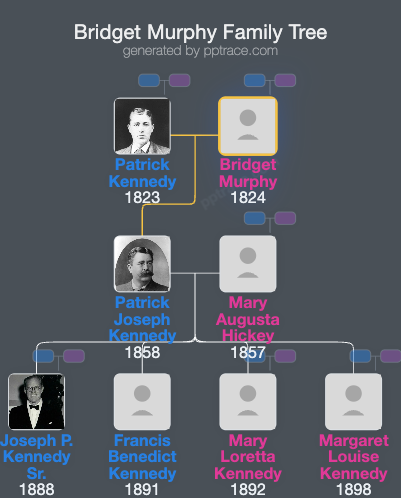 Bridget Murphy family tree overview