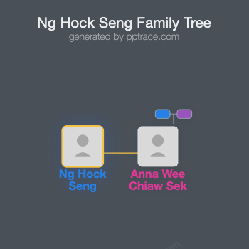 Ng Hock Seng family tree overview