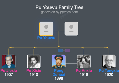 Pu Youwu family tree overview