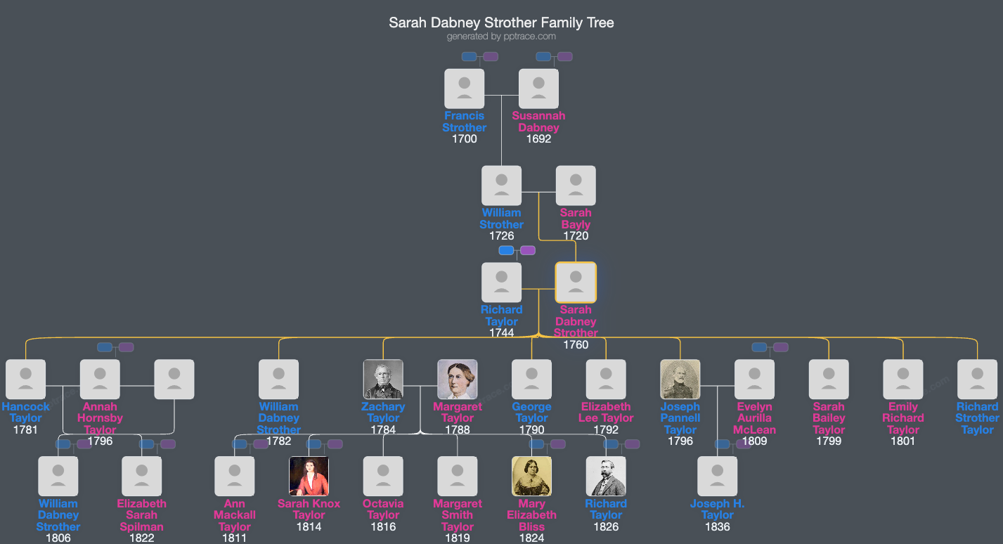 Sarah Dabney Strother family tree overview