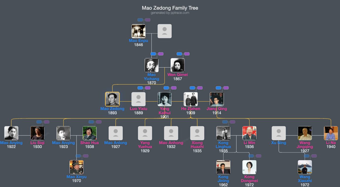 Mao Zedong family tree overview