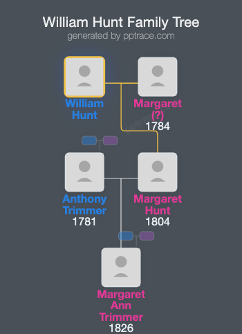 William Hunt family tree overview