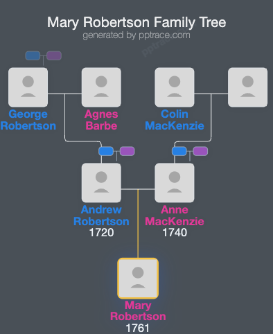 Mary Robertson family tree overview