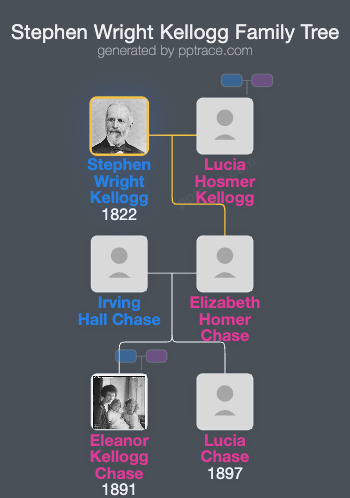 Stephen Wright Kellogg family tree overview