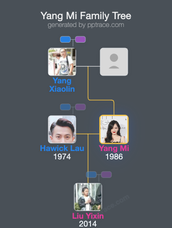 Yang Mi family tree overview