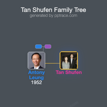 Tan Shufen family tree overview