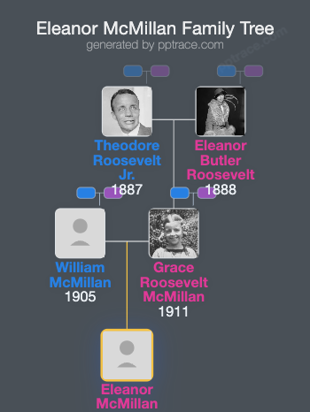 Eleanor McMillan family tree overview