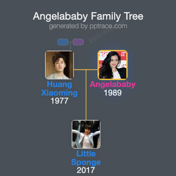Angelababy family tree overview