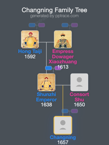 Changning family tree overview