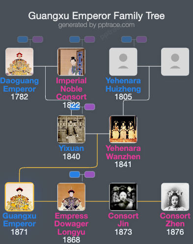 Guangxu Emperor family tree overview