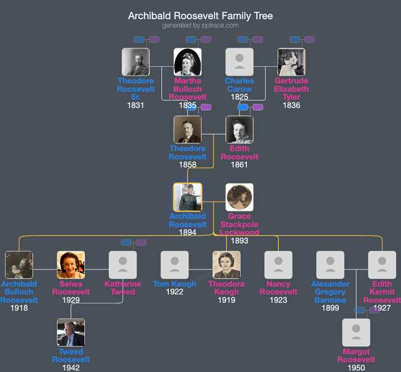 Archibald Roosevelt family tree overview