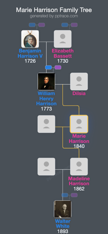 Marie Harrison family tree overview