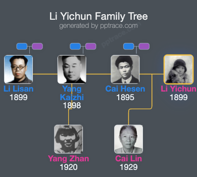 Li Yichun family tree overview