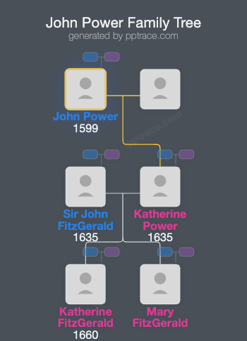 John Power, 5th Baron Le Power And Coroghmore family tree overview
