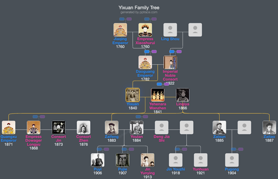 Yixuan, Prince Chun family tree overview